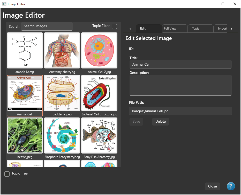 Janela Editor de Imagens